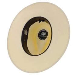 Santa Monica - Stetson Natural Wide Brim Shantung Straw Fedora Hat -Fashion Hat Discount Store H TSSTMOE NAT 6a