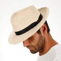 Rushmore - Stetson Palm Straw Fedora Hat -Fashion Hat Discount Store htsrshm nat 3